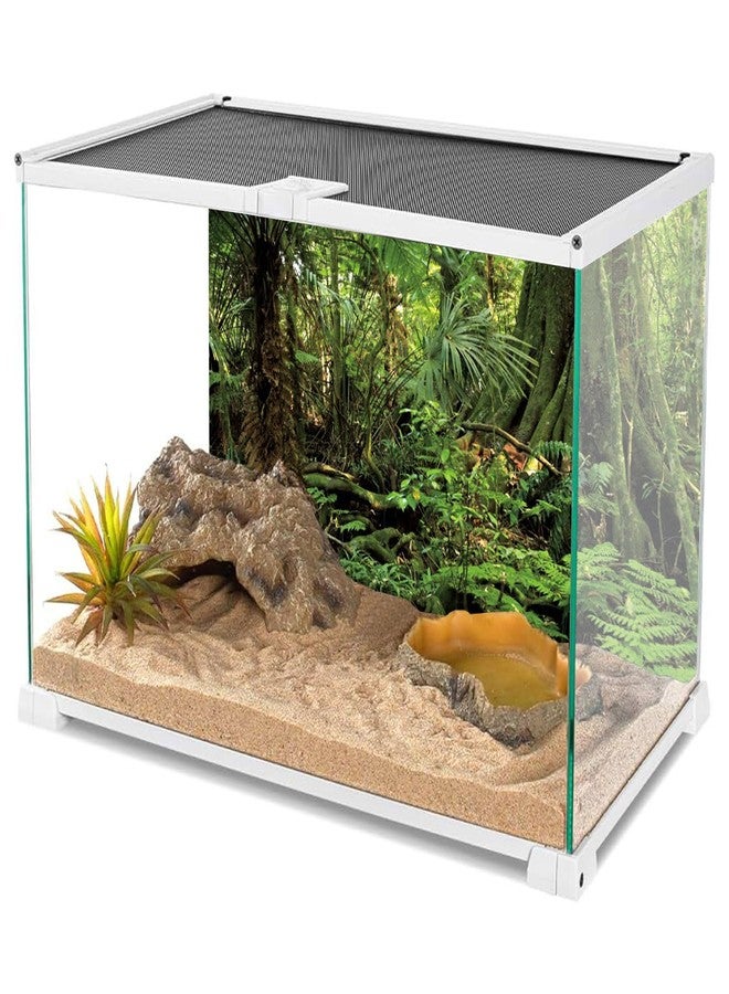 AWERT 48x20 inches Forest Terrarium Background Stone Green Huge Tree Reptile Habitat Background Tropical Rainforest Aquarium Background Durable Polyester Background - Image 3