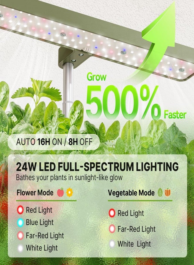 SUNCOZE Hydroponics Growing System Kit 12 Pods, 24W LED Grow Light Indoor Garden, 4L Water Tank with Quiet Pump, Adjustable Height Herb Garden Planter Indoor Kit, Gardening Gifts, Green - Image 5