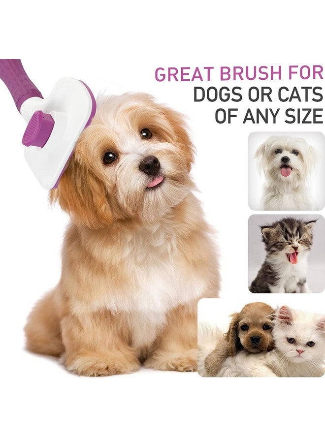 فرشاة تنظيف الحيوانات الأليفة مع فرشاة تنظيف ذاتية للشعر للكلاب والقطط ومشط تساقط الشعر - متعدد الألوان - Image 5