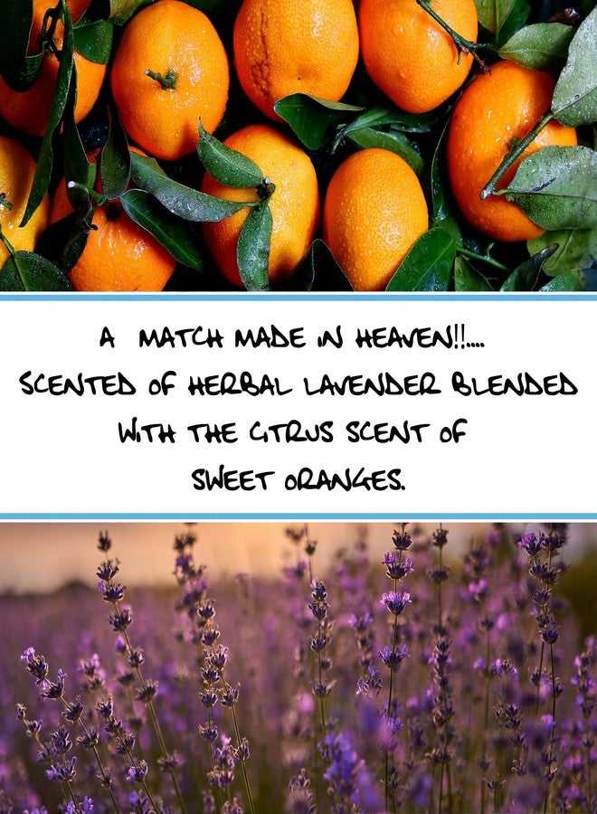 Bluebyrd Soap Co. Lavender Orange Bar Soap | Organic Shea Butter All Natural Scented Essential Oil Nourishing Soap Bar | Vegan, Cold Process, Handmade, Non-GMO (Lav. Orange) - Image 3