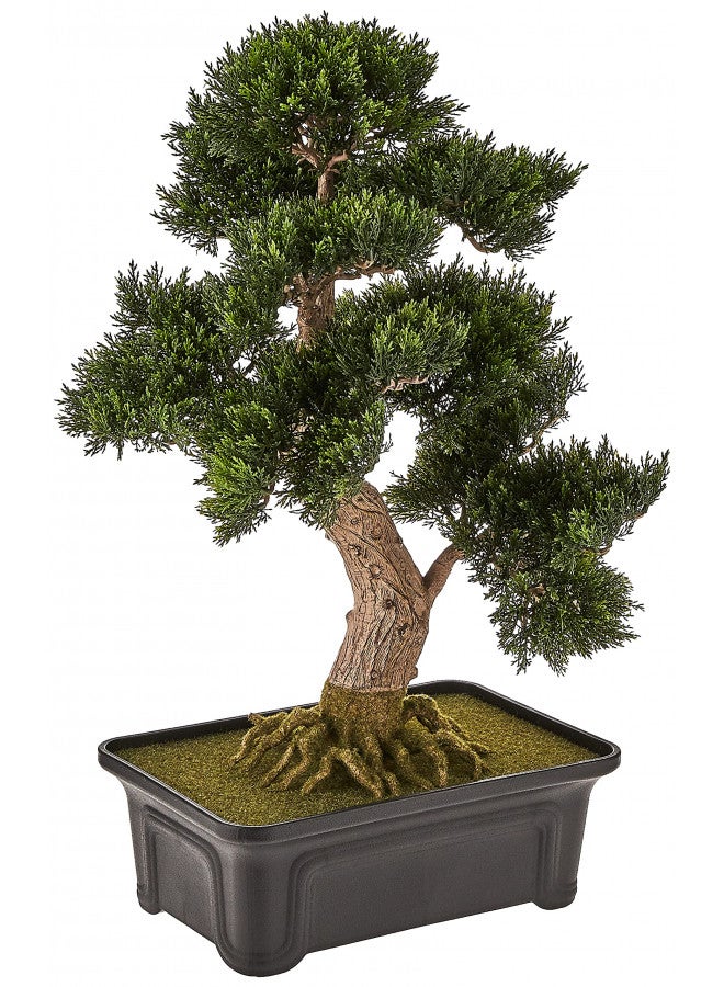 Nearly Natural 4103 24in. Cedar Bonsai Silk Plant,Green - Image 2