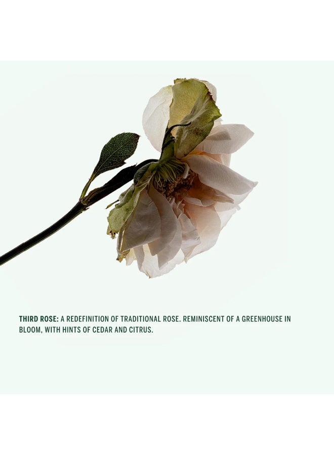 Corpus Body Wash THIRD ROSE 266ml - Image 3