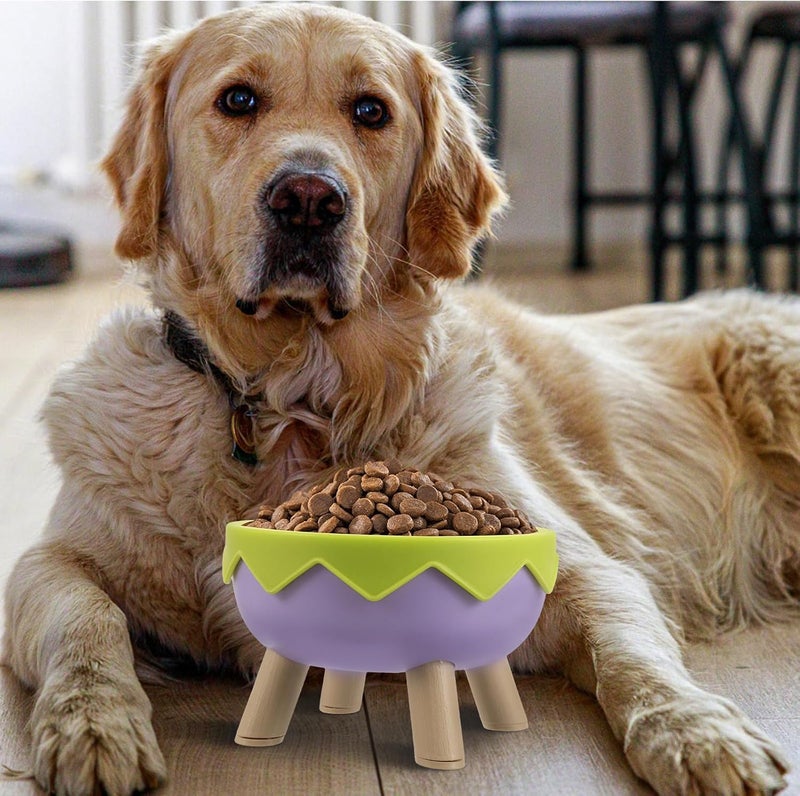 Uonlytech Elevated Pet Bowl Raised Cat Food Bowl with Non-Slip Base Tilted Small Dog Food Dish for Kittens and Flat-Faced Cats in Purple Green Eggshell Color - Image 5
