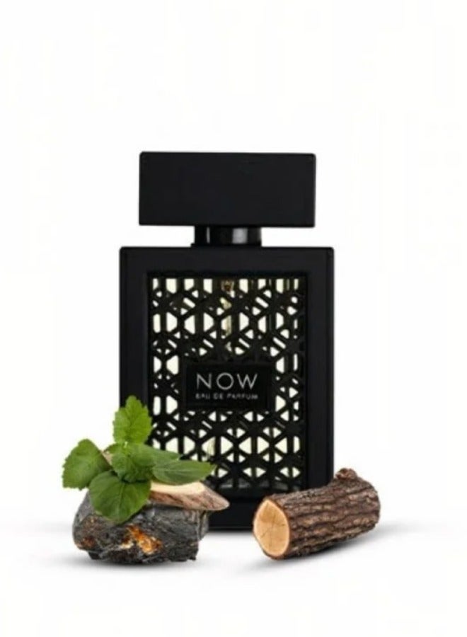 رايف عطر ناو من رايف الرجالي 100مل - Image 4