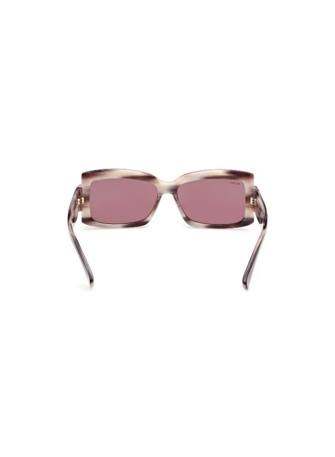 MaxMara Oversized Sunglasses