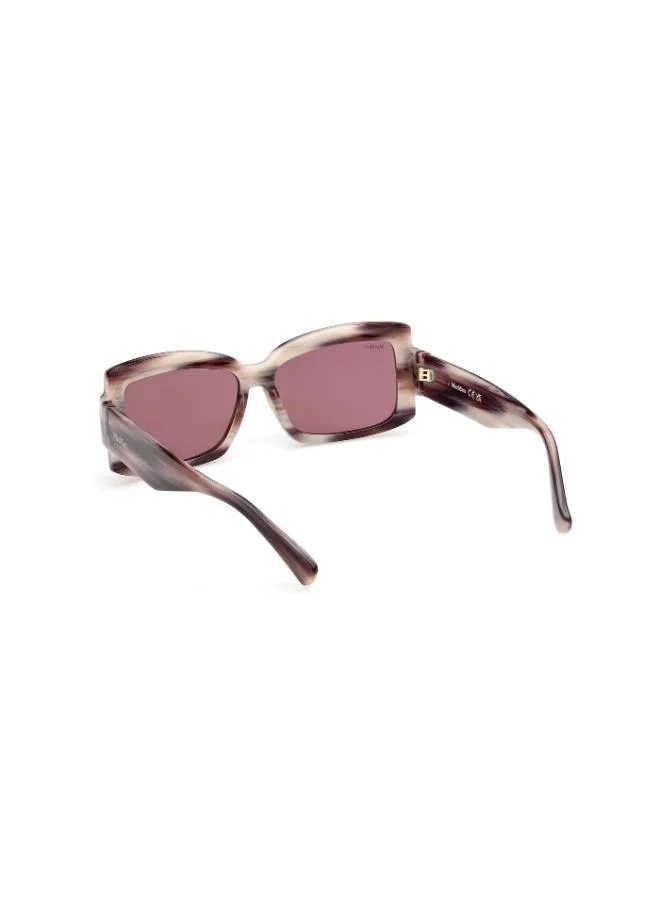 MaxMara Oversized Sunglasses