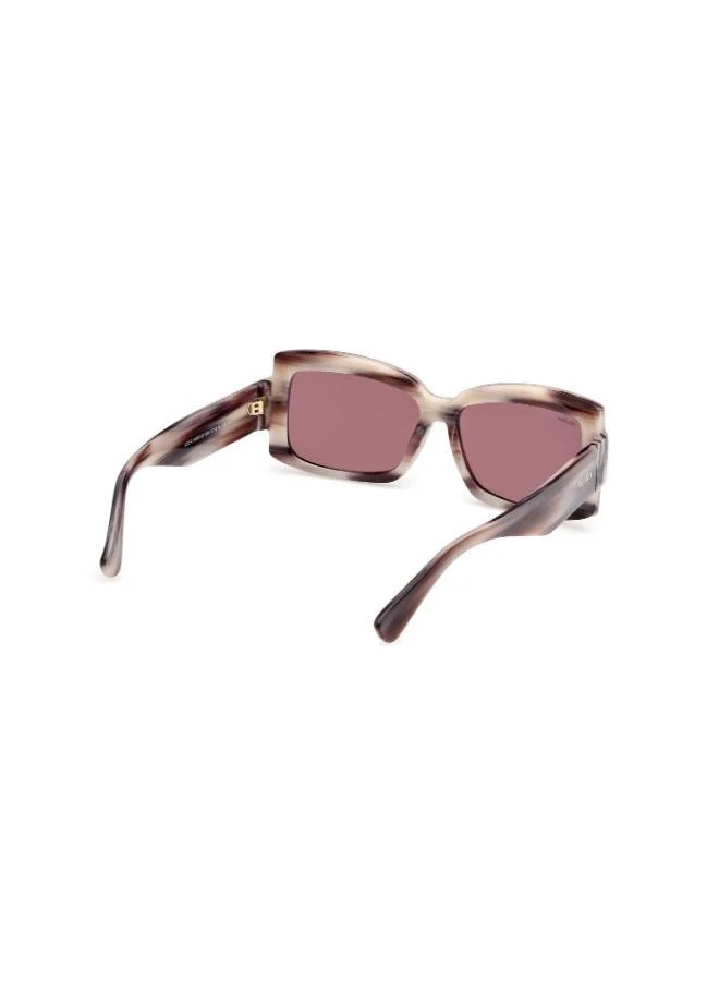 MaxMara Oversized Sunglasses