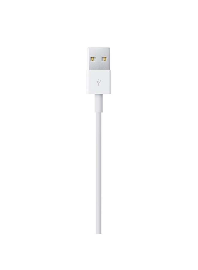 NIBEMINENT Watch Magnetic Charging Cable White - Image 4