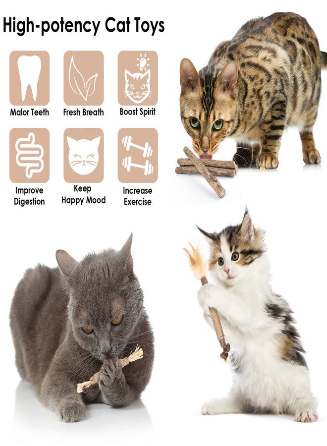 Bissap 10 PCS Silvervine Chew Sticks for Cats, Catnip Chew Sticks Cat Toys for Indoor Cat Kitten Teeth Grinding Interactive Feather Toys for Aggressive Chewers Dental Care - Image 2