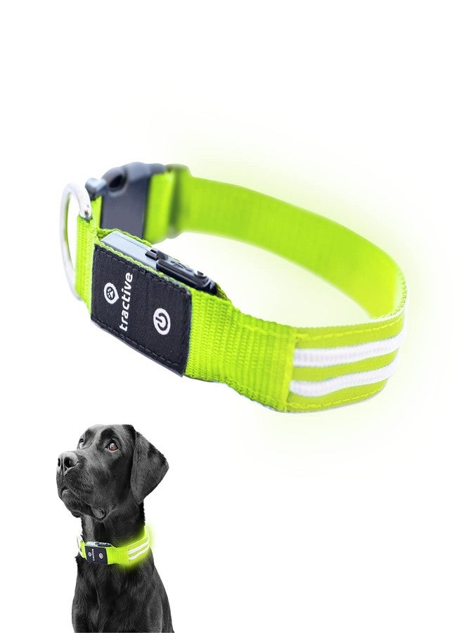 Tractive LED Light Up Dog Collar USB Rechargeable Waterproof (Green) - Image 1