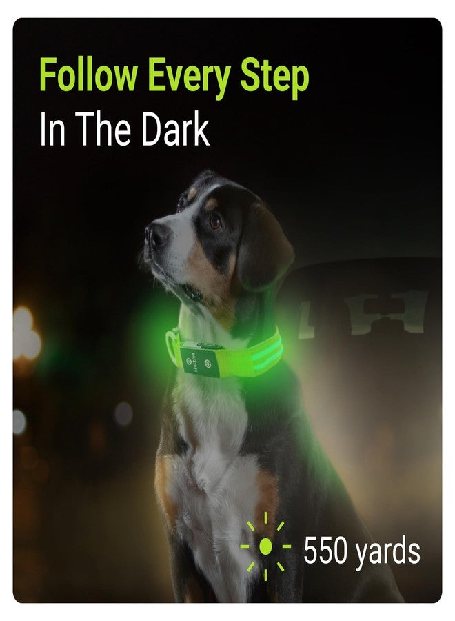 Tractive LED Light Up Dog Collar USB Rechargeable Waterproof (Green) - Image 2