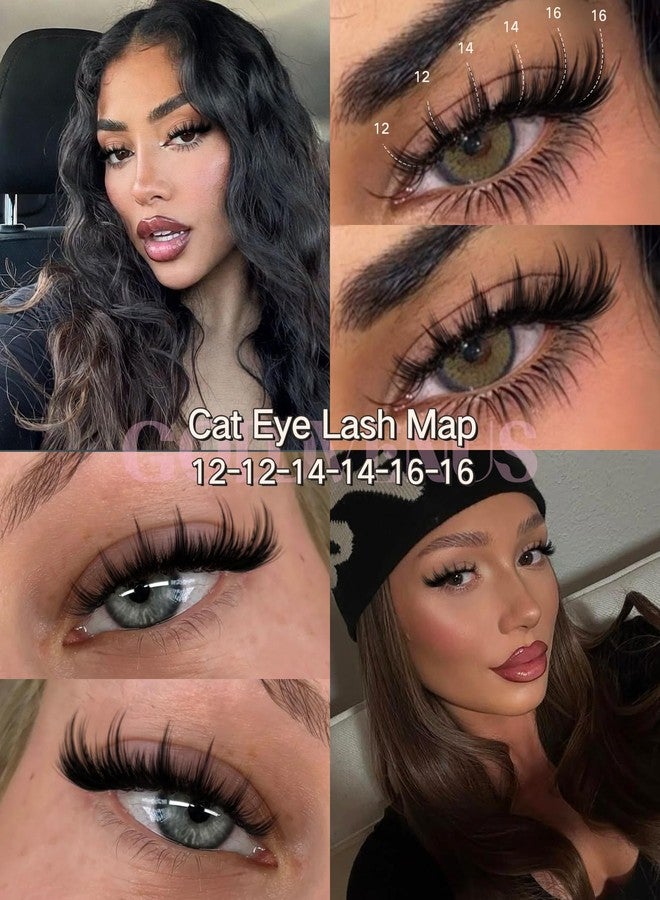 Goddvenus Fluffy Manga Lash Clusters 12-14-16mm Wispy Cluster Eyelash Extensions Anime Eyelashes Clusters Reusable Faux Mink Fairy Individual Lash Extension (CC Curve 128 pcs) - Image 2