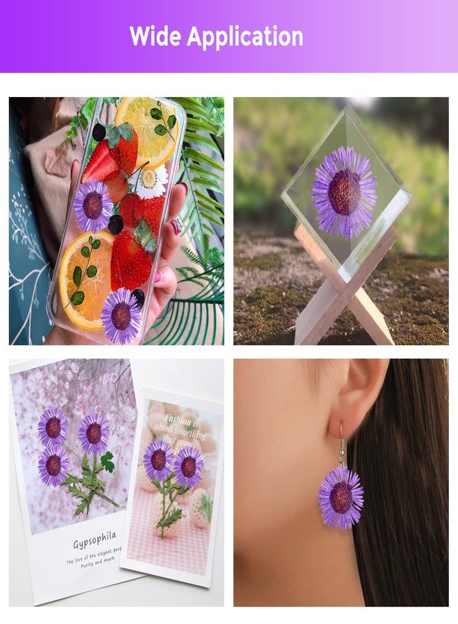 HEISENLIN ٦٠ قطعة من زهور الأقحوان المجففة ذات الإبر الأرجوانية، زهور مجففة طبيعية فاخرة مضغوطة لقوالب الراتنج، صناعة الورق، ديكور المنزل، صناعة المجوهرات، صناعة الشموع، ديكور غطاء الهاتف - Image 3