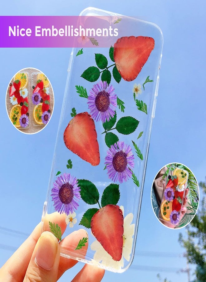 HEISENLIN ٦٠ قطعة من زهور الأقحوان المجففة ذات الإبر الأرجوانية، زهور مجففة طبيعية فاخرة مضغوطة لقوالب الراتنج، صناعة الورق، ديكور المنزل، صناعة المجوهرات، صناعة الشموع، ديكور غطاء الهاتف - Image 5