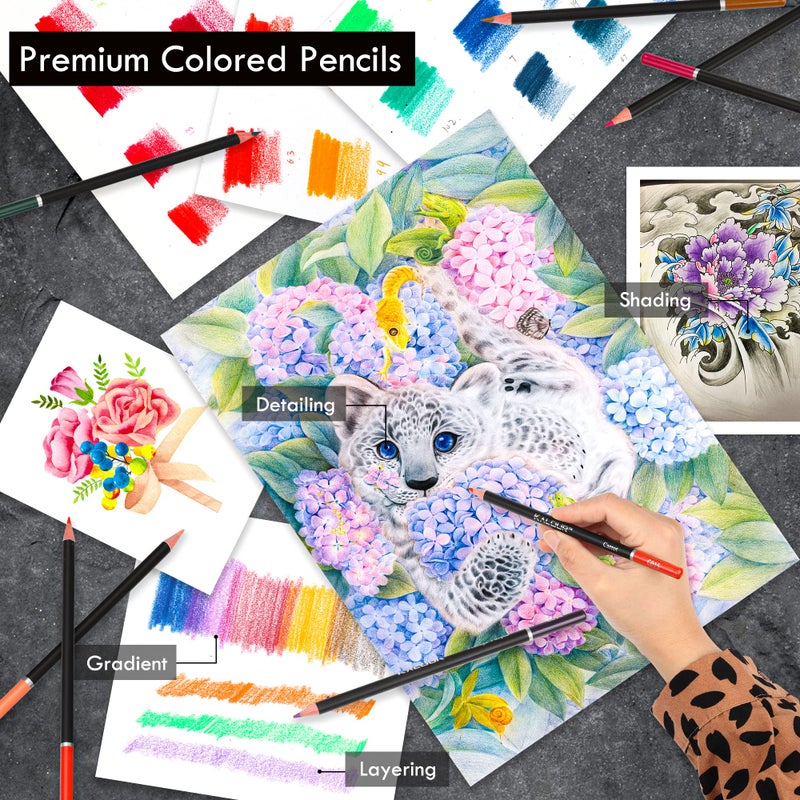 KALOUR Premium 144 Drawing Pencil Set,including 120 Colored Pencils and 24 Sketch Kit,Art Pencil Kit in Zippered Travel Case, for Drawing,Sketching and Coloring,Ideal for Beginner,Artists and Adults - Image 3