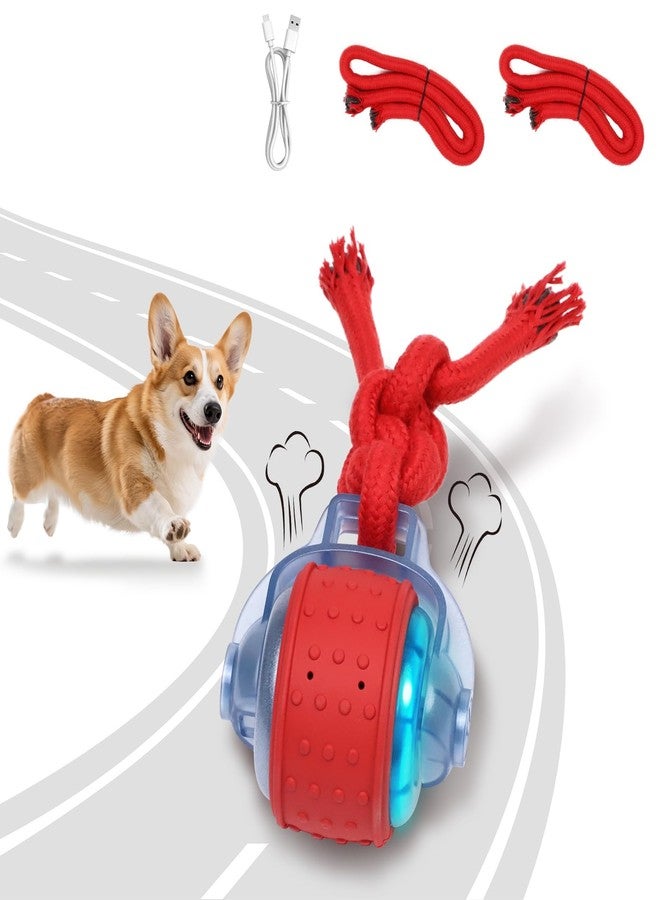 BENTOPAL Dog Toys Interactive Dogs Ball with Super High-Speed Rechargeable Dog Toy Ball for Puppies - Image 1