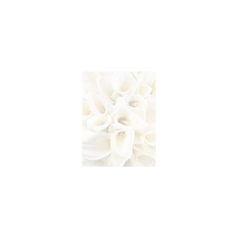 Great Papers White Calla Lilies Letterhead 80 Count 85x11 2014286