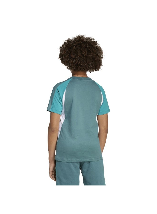 Adidas J Cb T Green Training T-Shirts For Junior 7-8Y - Image 3
