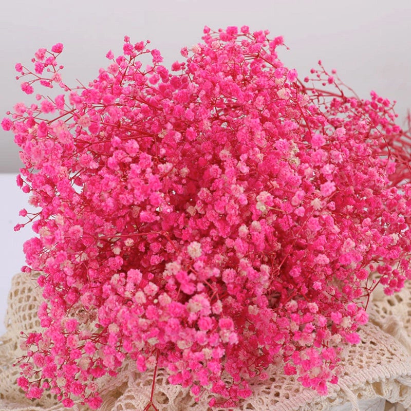 Dried Babys Breath Flowers Bouquet17 Inch 2500 Pink Dry Flowers Natural Gypsophila Branches for Wedding Table Vase Decor DIY Wreath Floral Home Office Party Garden Decoration 3oz