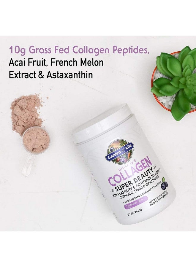 Garden of Life Garden of Life Grass Fed Collagen Super Beauty Powder - Blueberry Acai, 20 Servings, Collagen Powder for Women Skin Hair Nails Joints, Collagen Peptides Powder, Collagen Protein, Collagen Supplements  - Image 3