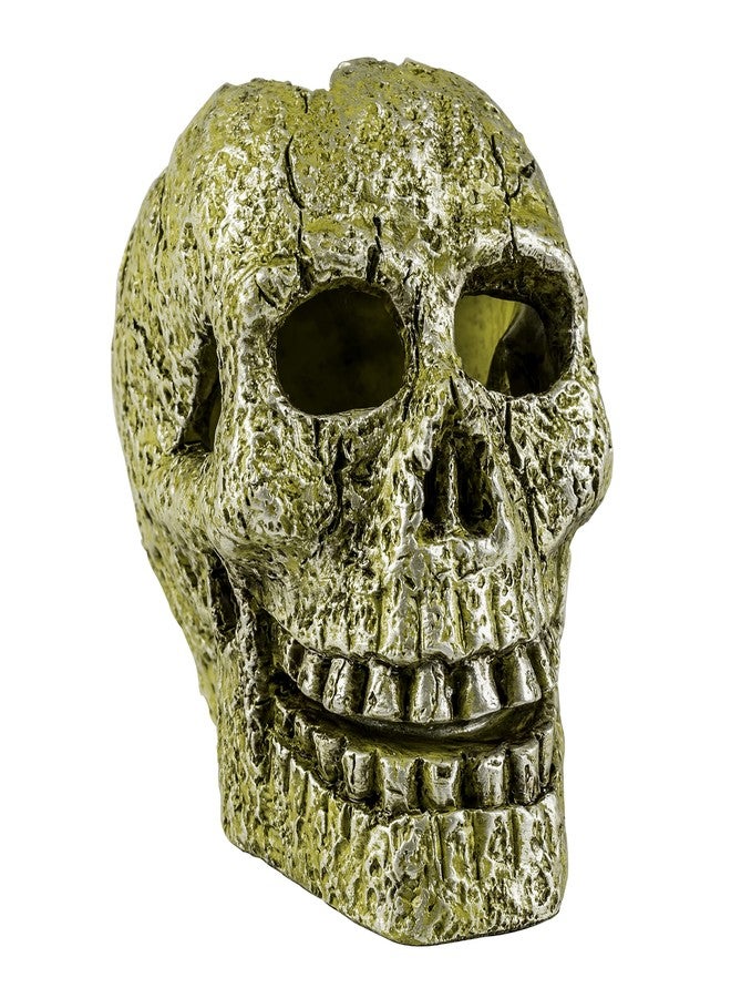 GloFish Skull Ornament, Detailed Aquarium Ornament, Hideaway For Fish - Image 1