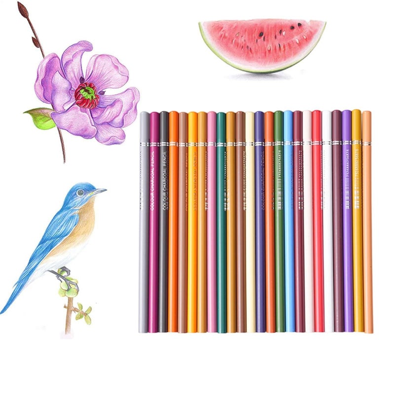 24 Pack Colored Pencils Blendable Drawing Material For Young Kids Classroom Art Supplies - Image 2