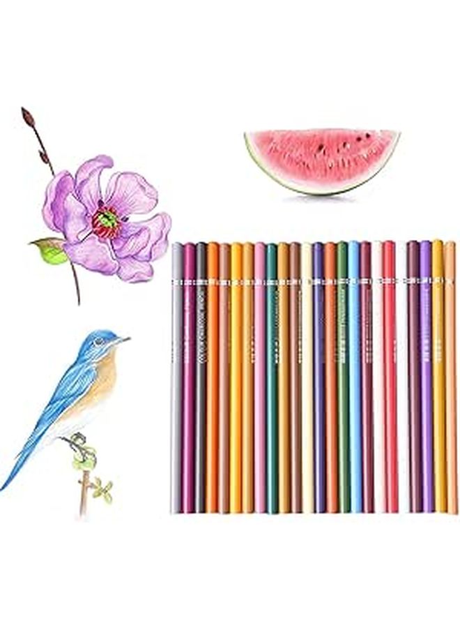 24 Pack Colored Pencils Blendable Drawing Material For Young Kids Classroom Art Supplies - Image 1