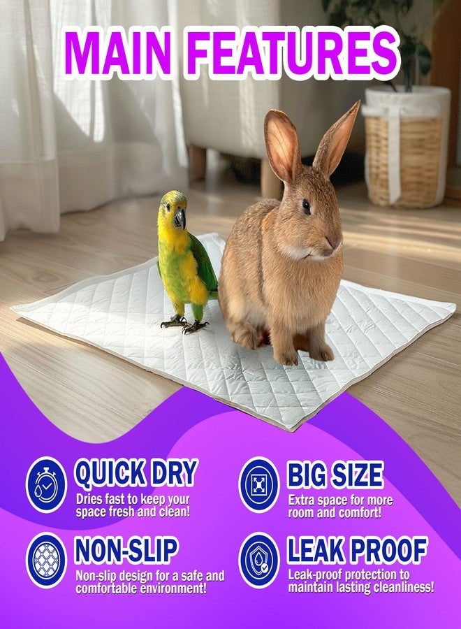 Hashi HA SHI Absorbent Bird Cage Liner - 27.9 x 16.1 Inches, 50 Pads, Disposable, Durable 5-Layer, Leak-Proof, Quick-Drying, Odor-Free for Parrots, Parakeets, Budgies, Canaries, Cockatoos - Image 3