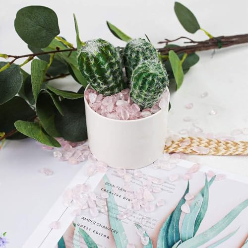 JOHOUSE Rose Quartz Crystals, 1lb Pink Crushed Rose Quartz Chips Bulk Tumbled Stones Irregular Shaped Succulent Pebbles Decorative Rocks for Aquarium Fish Tank Vase Filler DIY Crafts Indoor Plants - Image 3