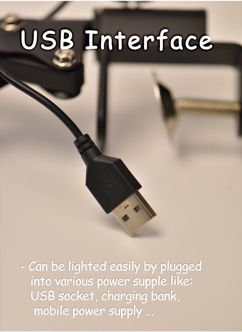 3 Fold Adjustable LED Desk Lamp with Clamp (Home and Office) Good Quality Dimmable Metal Swing Arm 3 Color mode USB Charging For kids and work