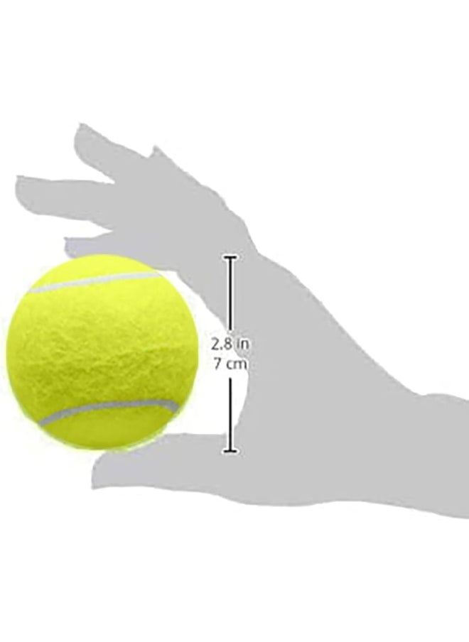 Generic Generic Tennis Balls, Yellow, 1 Pack, 3.5 Inches  - Image 5