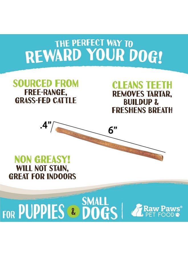 Raw Paws Thin Bully Sticks For Dogs, 6 Inch, 20Ct  Free Range Bull Pizzle  Low Odor Mini Bully Sticks For Puppies  Small Bully Sticks  Puppy Bully Sticks For Dogs  Bully Sticks For Small Dogs - Image 3