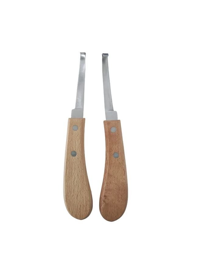 مقلم حدوة حصان من الفولاذ المقاوم للصدأ 2PC، خطاف إصلاح الحوافر، مستلزمات تنظيف الخيول الأليفة - Image 1