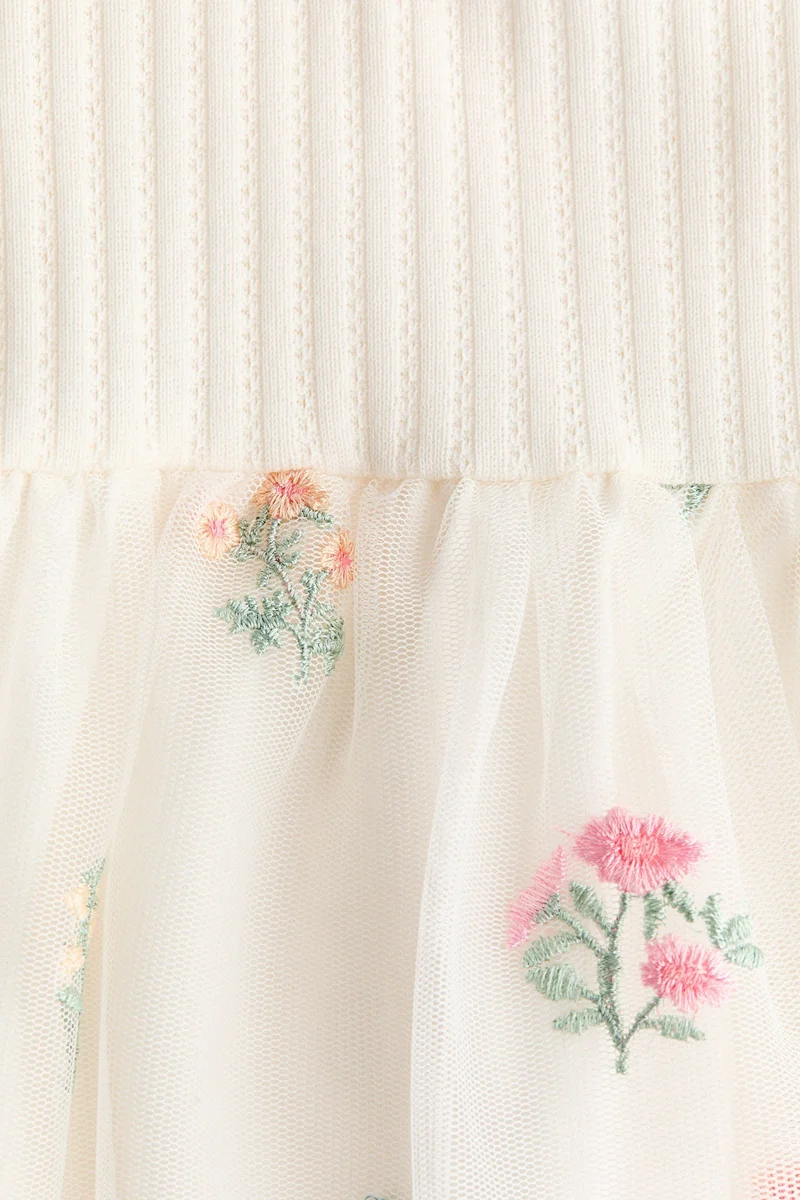 H&M Embroidered tulle-skirt dress