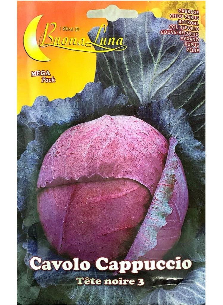 Buona Luna Cavolo Cappuccio Seeds  - Image 1