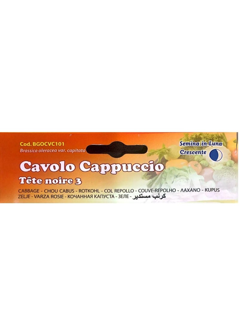 Buona Luna Cavolo Cappuccio Seeds  - Image 3