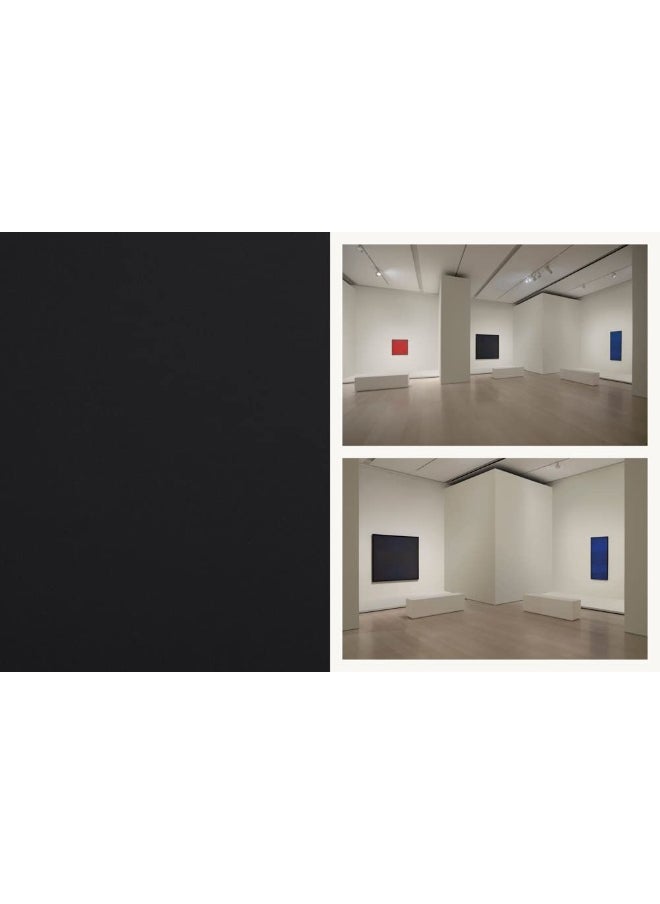 AD Reinhardt: Color Out of Darkness: Curated by James Turrell  - Image 3