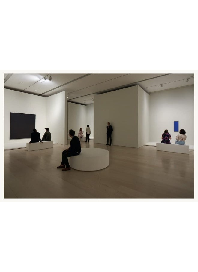 AD Reinhardt: Color Out of Darkness: Curated by James Turrell  - Image 4