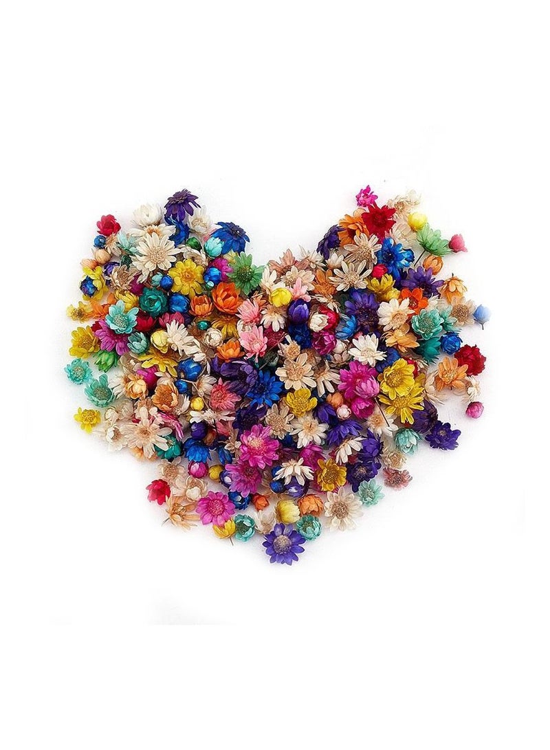 Generic 200Pcs/Bag Dried Flower Decoration Supplies Fashion Colorful Epoxy Craft Handmade DIY Accessories - Image 1