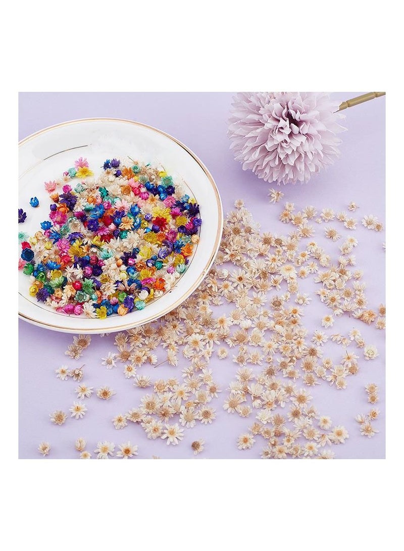 Generic 200Pcs/Bag Dried Flower Decoration Supplies Fashion Colorful Epoxy Craft Handmade DIY Accessories - Image 3