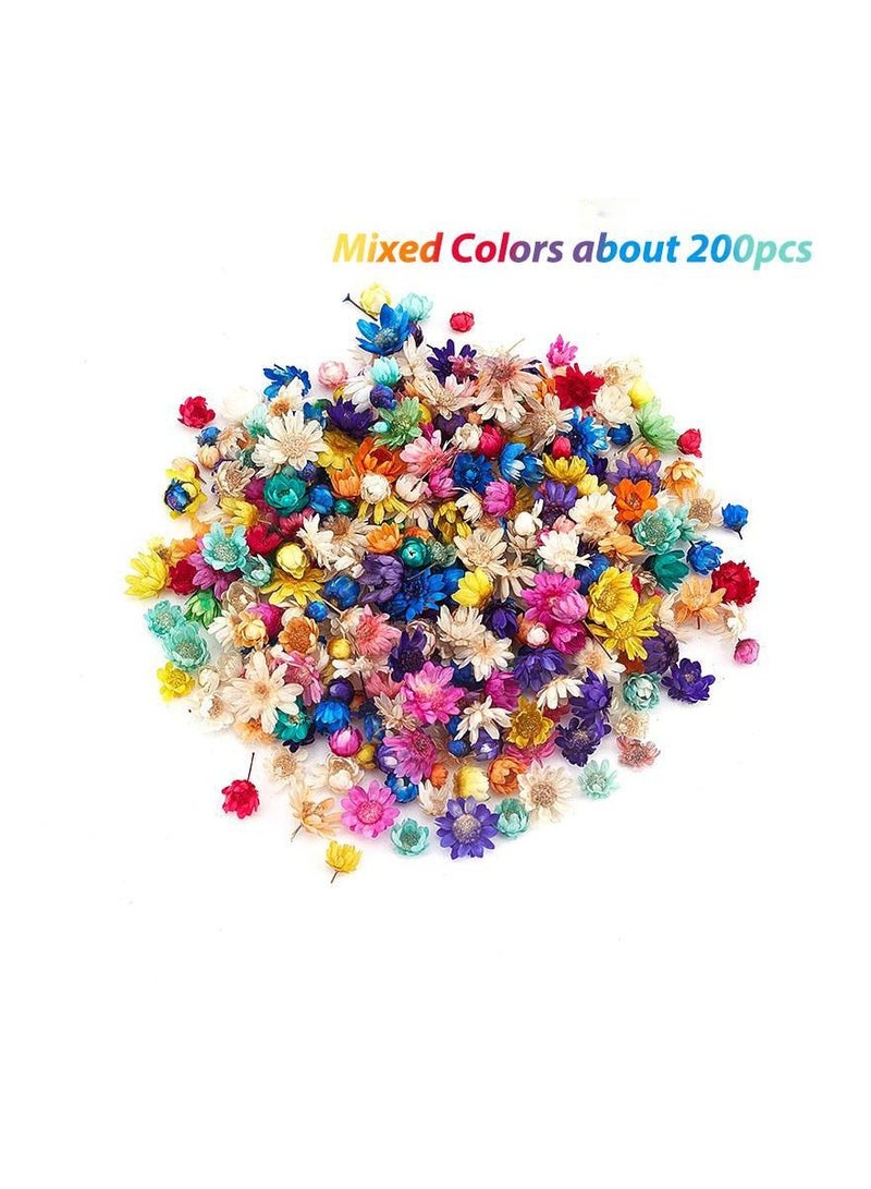 Generic 200Pcs/Bag Dried Flower Decoration Supplies Fashion Colorful Epoxy Craft Handmade DIY Accessories - Image 5