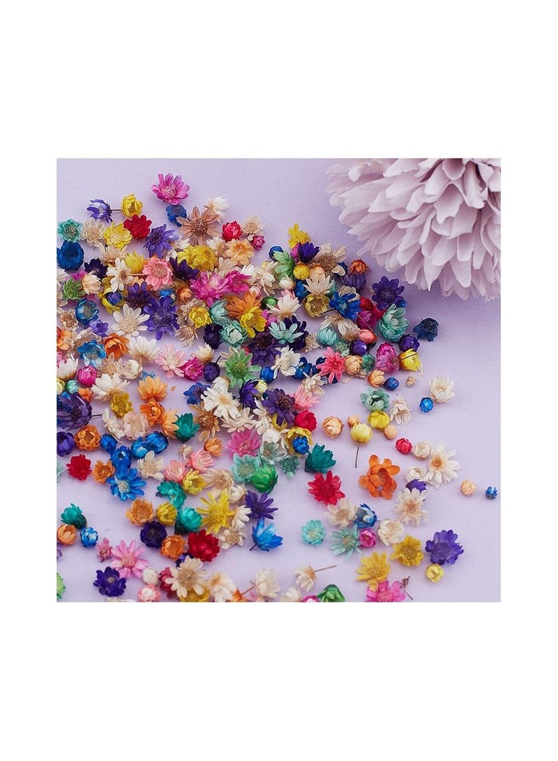 Generic 200Pcs/Bag Dried Flower Decoration Supplies Fashion Colorful Epoxy Craft Handmade DIY Accessories - Image 4