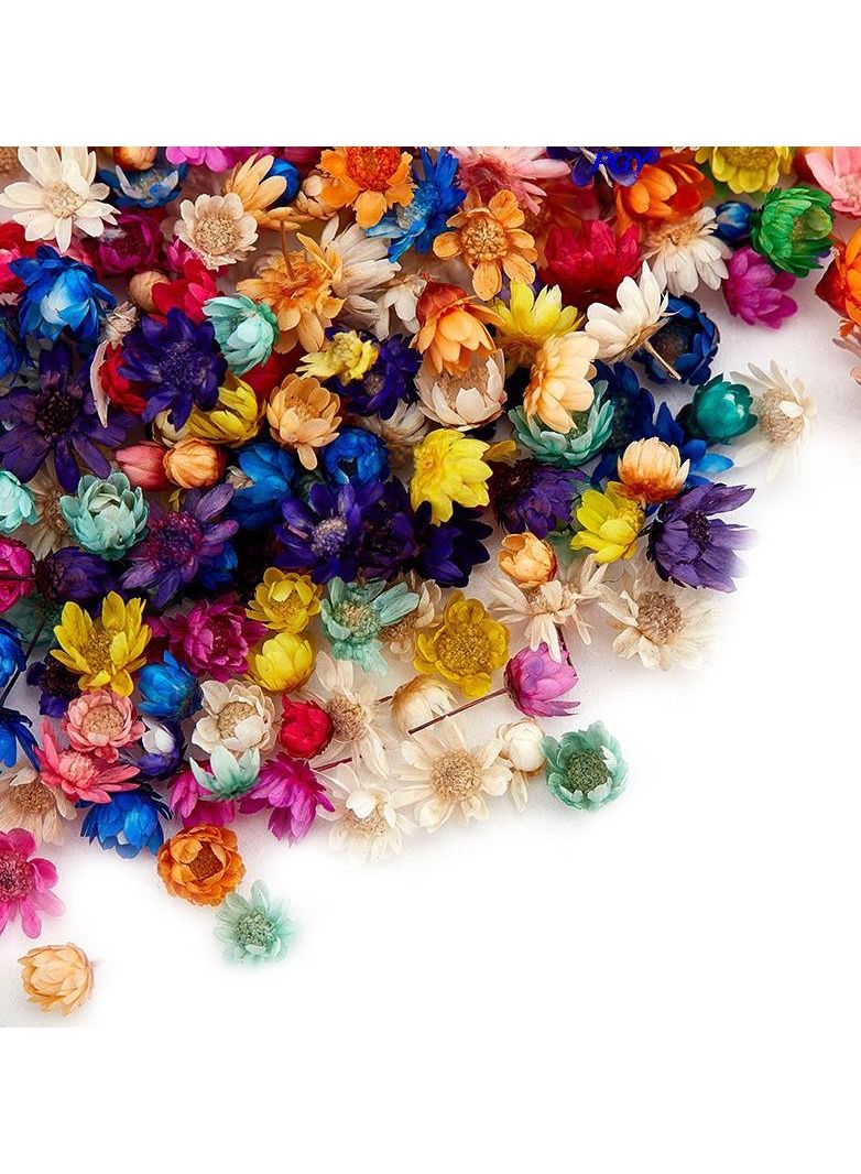 Generic 200Pcs/Bag Dried Flower Decoration Supplies Fashion Colorful Epoxy Craft Handmade DIY Accessories - Image 2