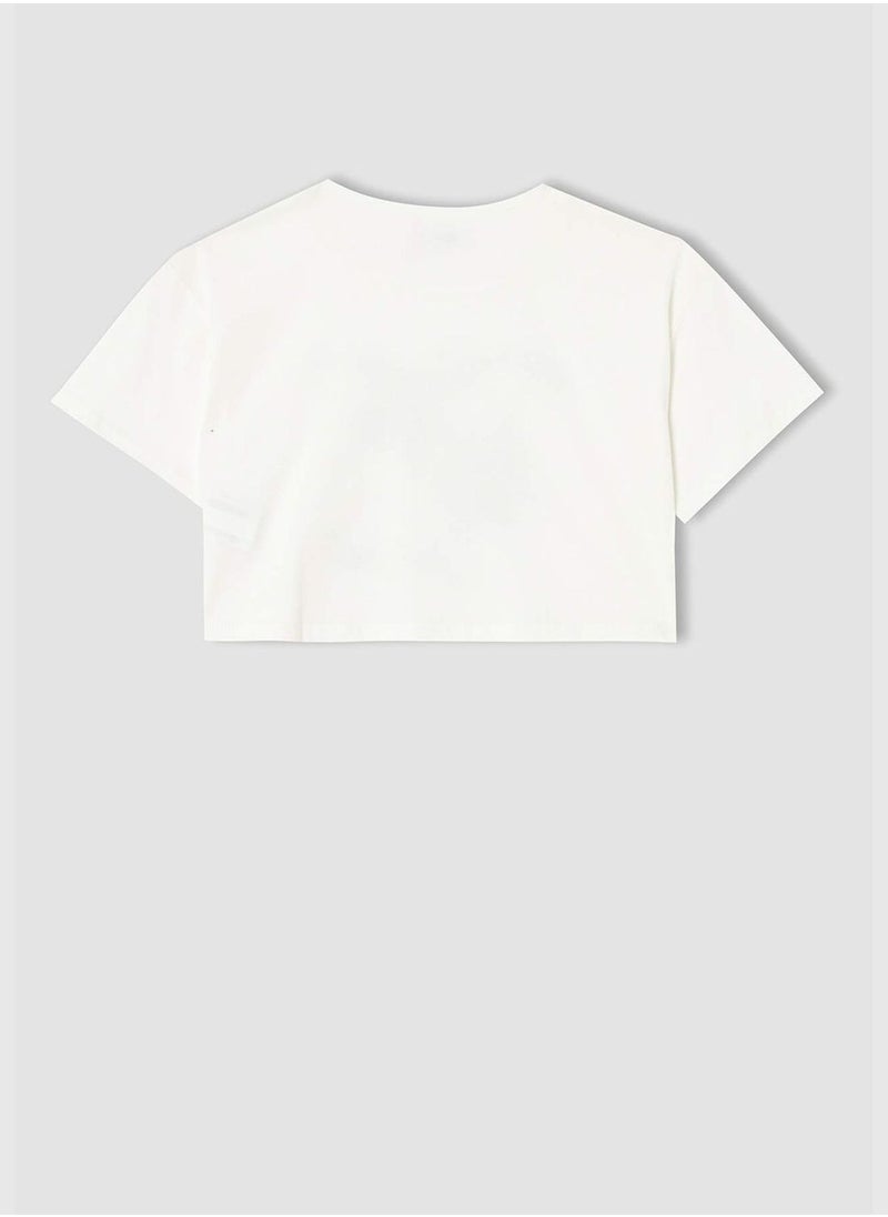 DeFacto Licensed Dumbo Short Sleeve Crew Neck Cropped T-Shirt  - Image 3