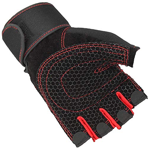 LAFILLETTE Half Finger Weightlifting Gloves for Gym, Power Lifting, Workout, Weightlifting, Cross fit, Fitness, Sports for Men and Women(Red) - Image 1