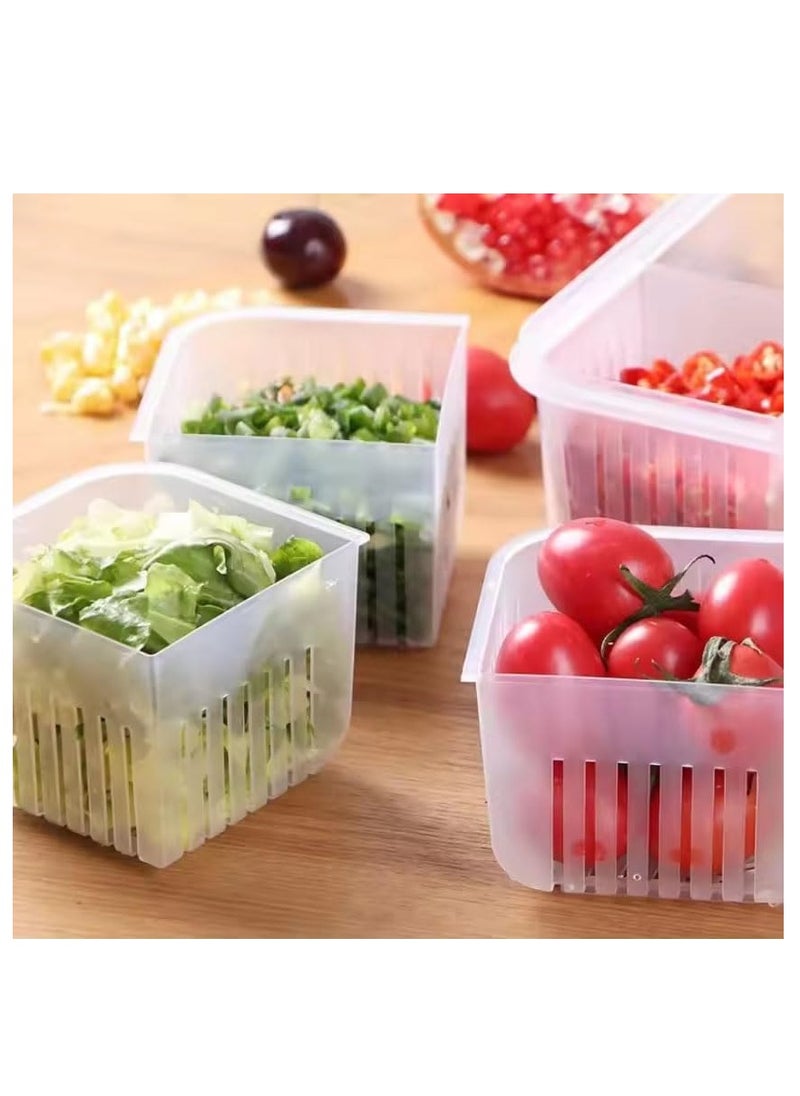 Premify - Set of 2 Fridge Organizer, Fruit Vegetable Storage Saver Containers with Lid & Colander for Kitchen | BPA-Free Plastic Container Fresh Keeper Set, 4 Partitions in Each Box - Image 1