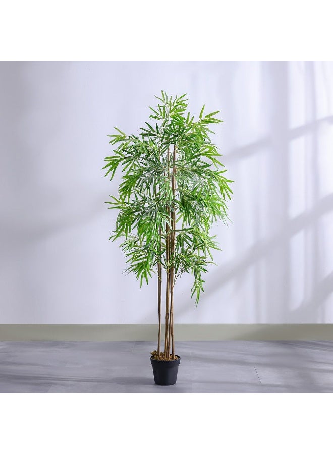 DANUBE HOME High Bamboo Artificial Plant 210 cm, 6 Rod Cluster – Realistic Faux Tree for Homes, Offices & Outdoor Areas, Maintenance-Free - Image 1