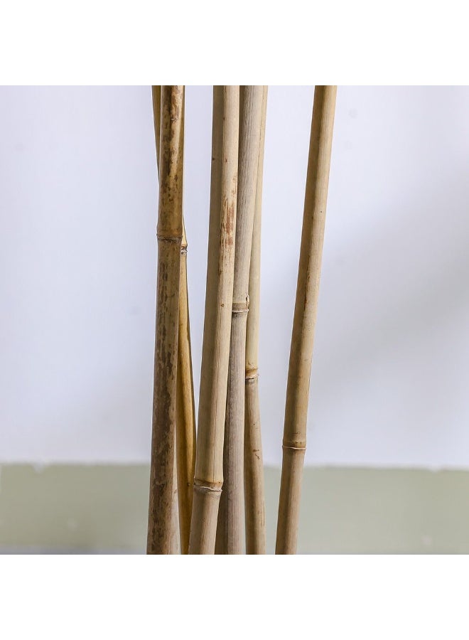 DANUBE HOME High Bamboo Artificial Plant 210 cm, 6 Rod Cluster – Realistic Faux Tree for Homes, Offices & Outdoor Areas, Maintenance-Free - Image 3