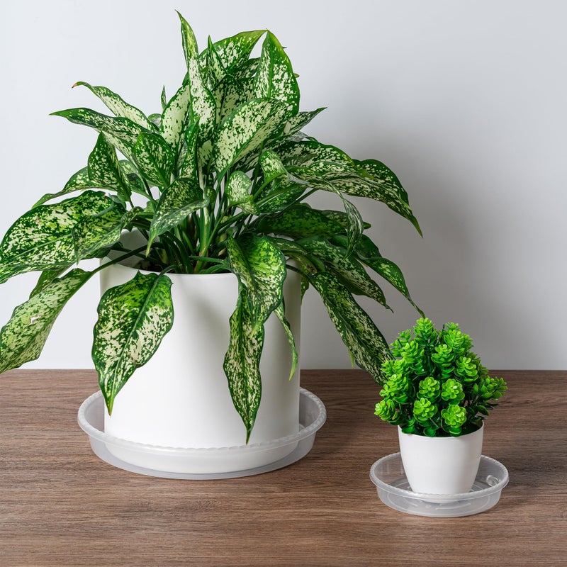 Hoewina Plant Saucer Tray - 6 Pack 10 Inch Plastic Plant Trays for Pots with Plant Tray Design - Clear Plant Saucers for Outdoors and Indoors Use - Plant Pot Saucers for Potted Plants - Plant Drip Trays - Image 3