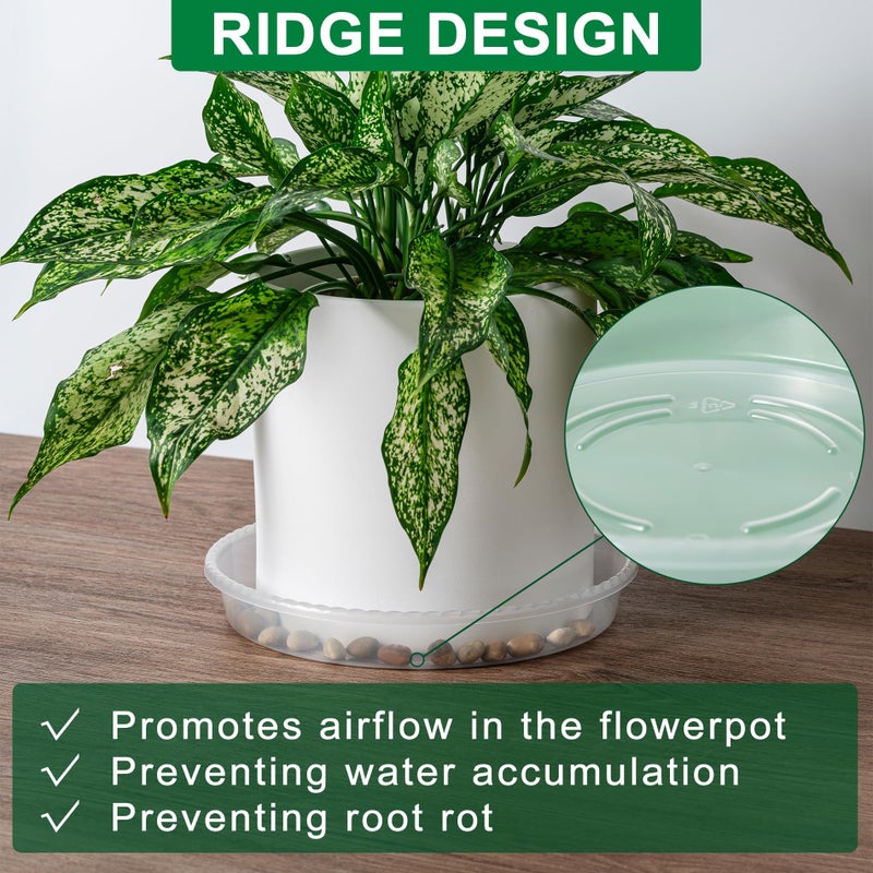 Hoewina Plant Saucer Tray - 6 Pack 10 Inch Plastic Plant Trays for Pots with Plant Tray Design - Clear Plant Saucers for Outdoors and Indoors Use - Plant Pot Saucers for Potted Plants - Plant Drip Trays - Image 5